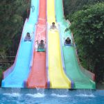 Máng trượt Nhiều Làn - Multislide 5 1861294069